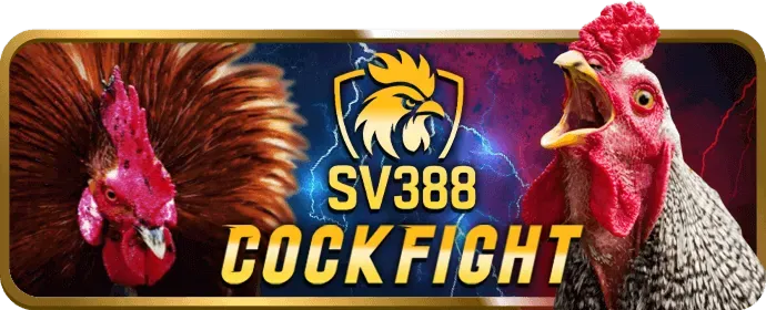 Trải nghiệm người dùng vượt trội tại S88BET